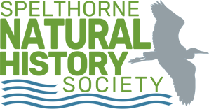 Spelthorne Natural History Society